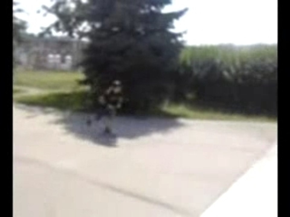 Scooter styler