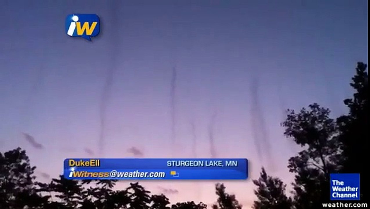 Huge Columns of Mosquitoes Fill the Sky