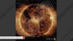 Striking NASA Image Shows Sun's Magnetic Field