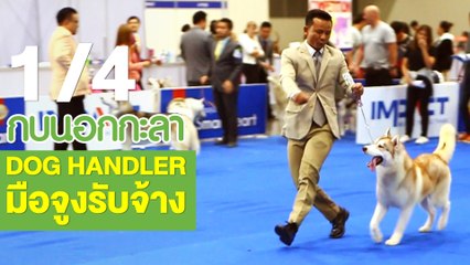 กบนอกกะลา : DOG Handler มือจูงรับจ้าง ช่วงที่ 1/4 (2 ส.ค.61)