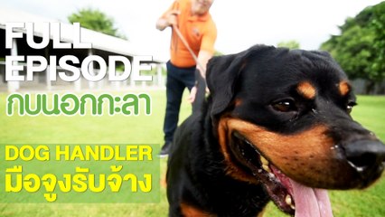 กบนอกกะลา : DOG Handler มือจูงรับจ้าง | FULL (2 ส.ค.61)