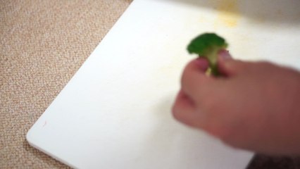 ハムスター用のクリスマスケーキをミルワームＯＮで作ってみた