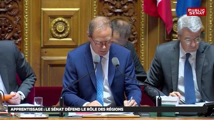 Best of avenir professionnel - Les matins du Sénat (28/07/2018)