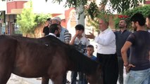 Diyarbakır Diyarbakır'da Yük Taşıtılan At, Yere Yığılınca Sahibi Arabasını Alıp Kaçtı