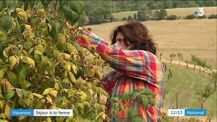 Vacances : un séjour à la ferme en woofing