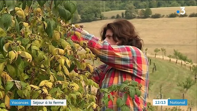 Vacances : un séjour à la ferme en woofing