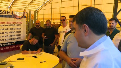 Vali Şahin, kurban satış ve kesim alanında incelemelerde bulundu - İSTANBUL