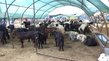 Kırıkkale'de Kurban Pazarı Hareketlendi