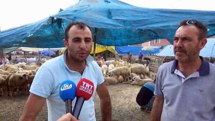 Kırıkkale'de kurban pazarı hareketlendi