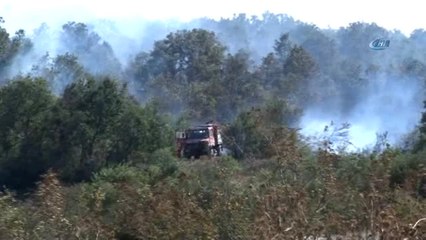 Bursa'da 5 Hektarlık Alan Küle Döndü