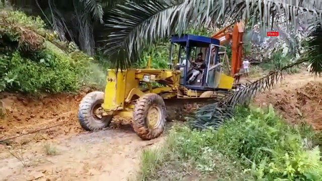 Top Amazing Super Biggest Heavy Equipment Bulldozer Stuck & Recovery