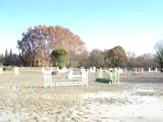 moi et oméga en concour