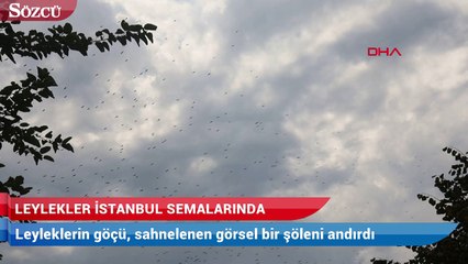Leylekler İstanbul semalarında