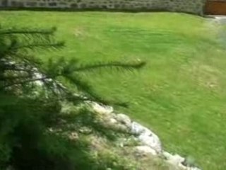 gite de france,  la clef des champs  à Chalmazel (JOUHANNEL-BOUCHETAL)