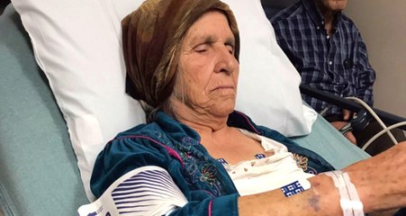 Çiçek Toplamaya Giden Yaşlı Kadına Şok Tabancalı Gözaltı
