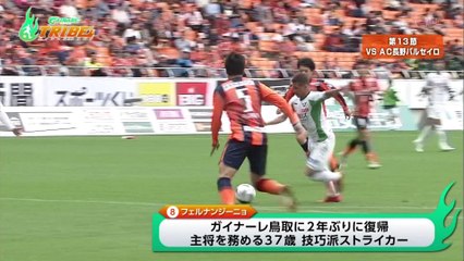 ガイナーレＴＲＩＢＥ