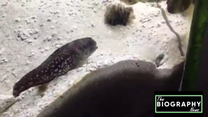 The battle in neighbors is a common matter whe