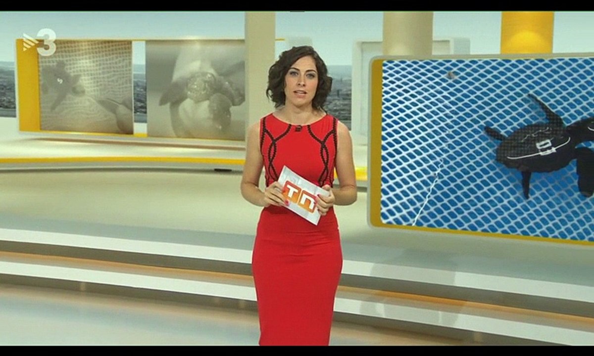 Anna Garnatxe Resum setmanal