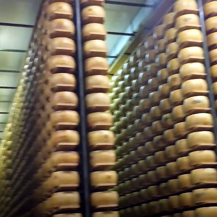Bir Peynir Fabrikasının İçinde İtalyan Peyniri...