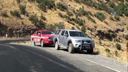 Beytüşşebap’ta orman yangını 50 dönümlük ormanı küle çevirdi