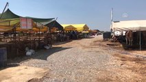Kurban Pazarlarına 