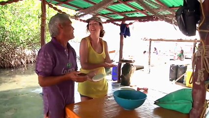 Travel Planet - Costa de Venezuela (Coast of Venezuela)