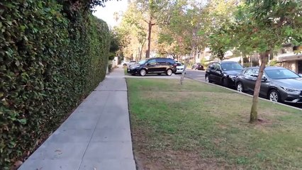 SAY YES TO EVERYTHING FOR 24 HOURS CHALLENGE!!