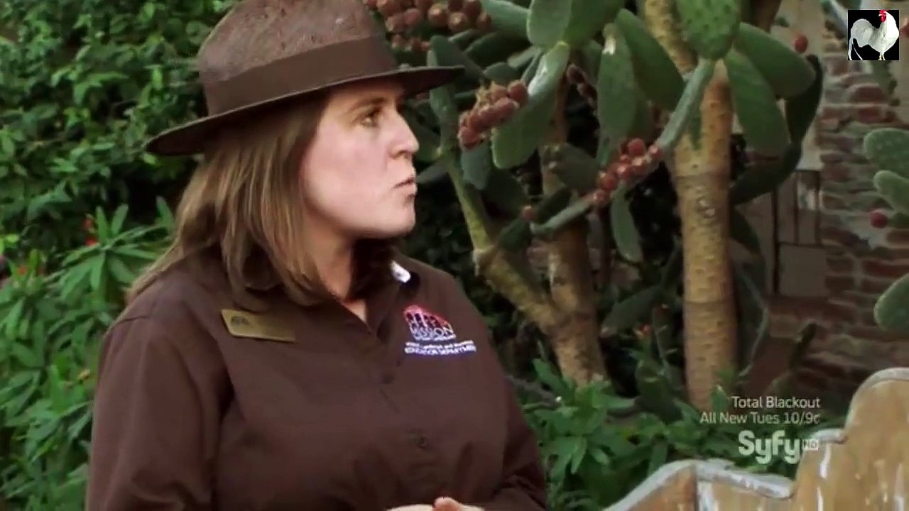 Ghost Hunters S09E02 Ghost Mission