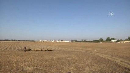 Hayat Pahalılığı Kurban Pazarlarını Vurdu