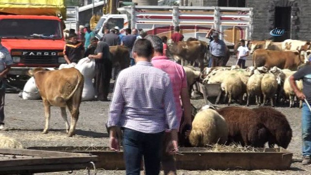 Bayrama sayılı günler kala bazı vatandaşlar kurbanlıklarını alırken, bazı vatandaşlar son günü bekliyor