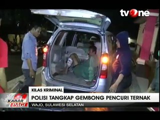 Polisi Wajo Tangkap Gembong Pencuri Ternak