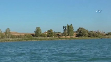 Adadaki Hasat Sonrası Biçerdöverin Göldeki Yolculuğu