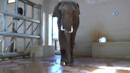 5 Tonluk Fillerin Bayram Temizliği