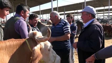 Kurban Bayramı'na doğru - SİVAS