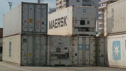 Bllokohen në Durrës 27 ton fileto pule me salmonelë - Top Channel Albania - News - Lajme