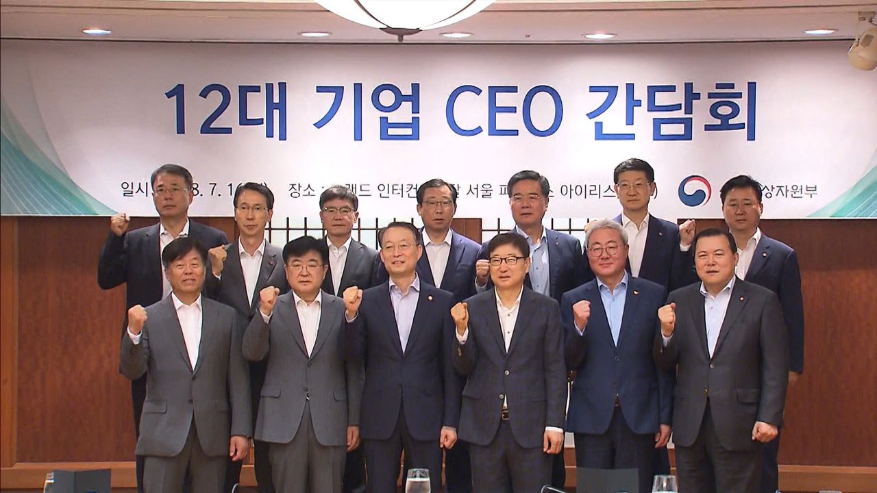 [중점] 대기업 투자 계획 발표...약인가? 독인가? / YTN