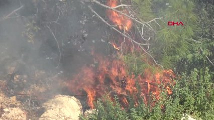 Mersin Erdemli'de Orman Yangını