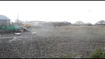 Kars'ta Ceviz Büyüklüğünde Dolu Yağdı