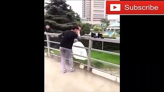 Funny Videos 2017 ● Chinese Funny Clips P16-1