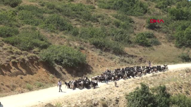 Tunceli CHP'li Erol Tunceli Aliboğazındaki Orman Yangını Söndürüldü