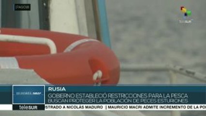 Río Volga, una de las más preciadas joyas naturales de Rusia