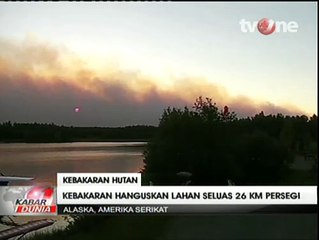 Kebakaran Melanda Hutan di Alaska Seluas 26 KM Persegi