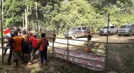 It's 'un-Islamic' for PAS govt to favour musang king planters, say orang asli defending their jungle homes
