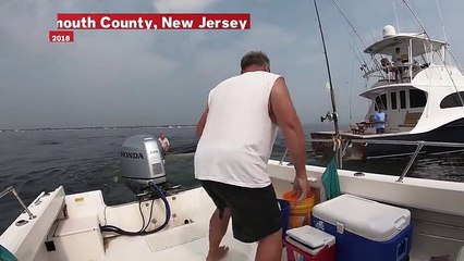Whale Capsizes Fisherman's Boat Off New Jersey Coast