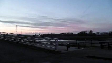 Theres. too. many of them! A sky darkened by thousands of crows #2