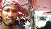 গরুর দাম জেনে নিন, মোহাম্মদপুর, বছিলায় বিরাট গরুর হাট-২০১৮ || Daily Needs