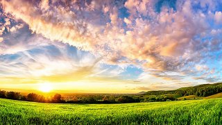 6 Hour Ambient Soundscape: Relaxing Nature Summer Sounds An English Country Meadow