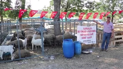 Koç Alana"Oğlak", Dana Alana "Koç" Hediye Ediyor - Tekirdağ