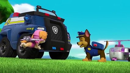 Paw Patrol | Pups Save a Blimp | Nick Jr. UK