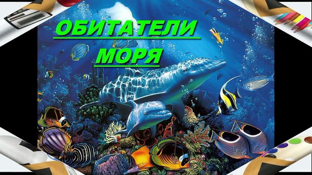 Развивающее видео для детей от года Обитатели моря